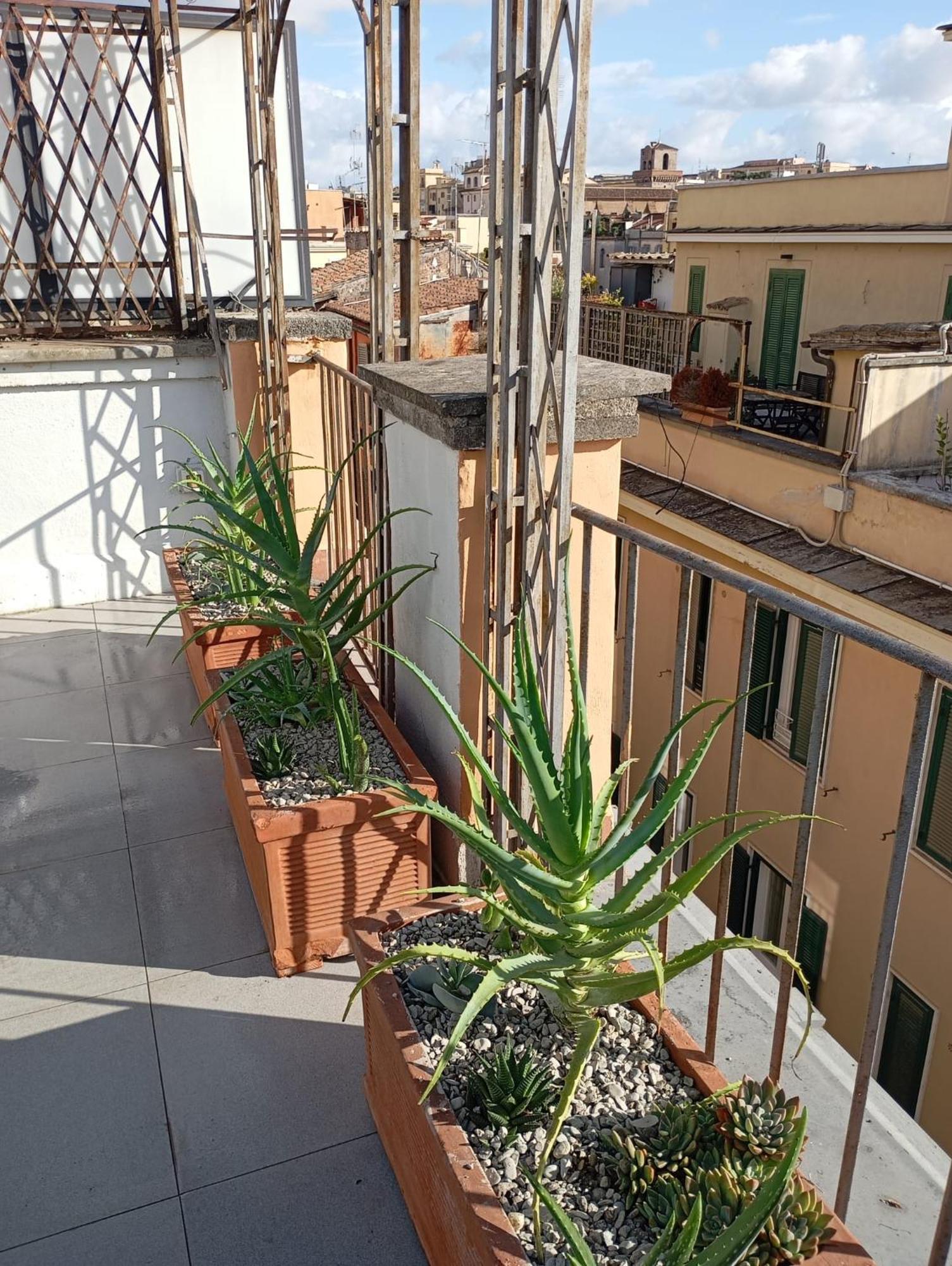 Colosseum Exclusive Duplex Roma Ngoại thất bức ảnh